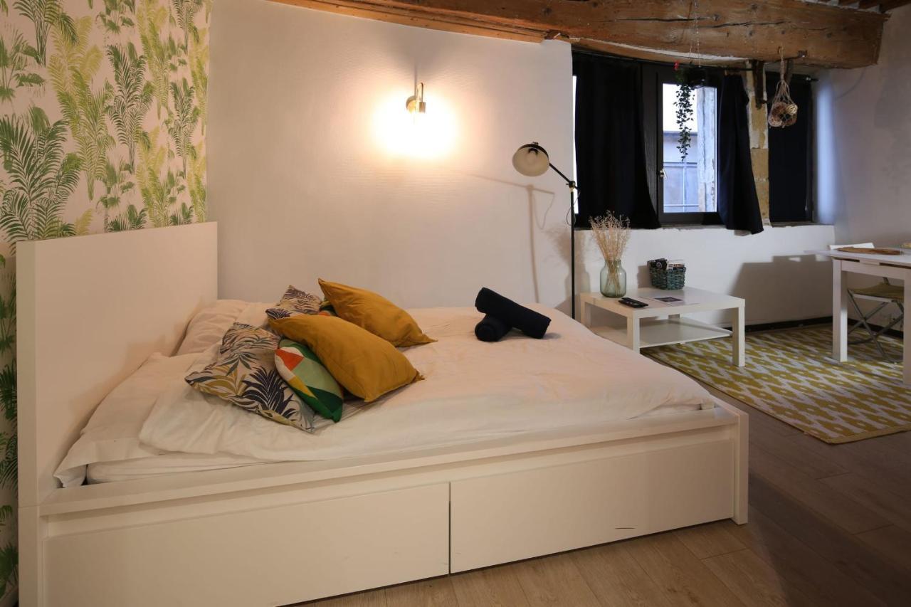 Charming Studio Centre Ville De Лион Экстерьер фото